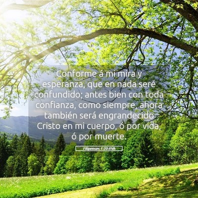 Picture 05 - Filipenses 1:20 RVA - Conforme á mi mira y esperanza, que en nada - Bible Verse Picture