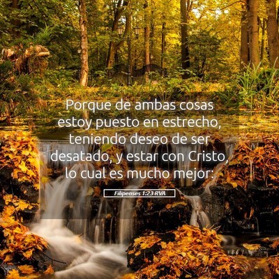 Picture 05 - Filipenses 1:23 RVA - Porque de ambas cosas estoy puesto en estrecho, - Bible Verse Picture