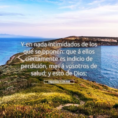 Picture 05 - Filipenses 1:28 RVA - Y en nada intimidados de los que se oponen: que - Bible Verse Picture