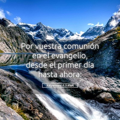 Picture 05 - Filipenses 1:5 RVA - Por vuestra comunión en el evangelio, desde el - Bible Verse Picture
