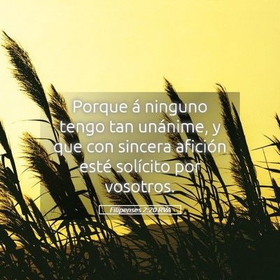 Picture 05 - Filipenses 2:20 RVA - Porque á ninguno tengo tan unánime, y que con - Bible Verse Picture