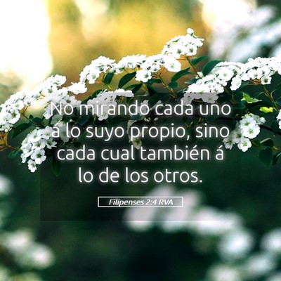 Picture 05 - Filipenses 2:4 RVA - No mirando cada uno á lo suyo propio, sino cada - Bible Verse Picture