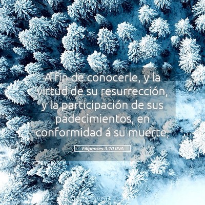 Picture 05 - Filipenses 3:10 RVA - A fin de conocerle, y la virtud de su - Bible Verse Picture