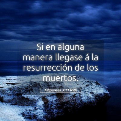 Picture 05 - Filipenses 3:11 RVA - Si en alguna manera llegase á la resurrección - Bible Verse Picture