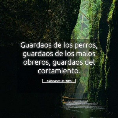 Picture 05 - Filipenses 3:2 RVA - Guardaos de los perros, guardaos de los malos - Bible Verse Picture