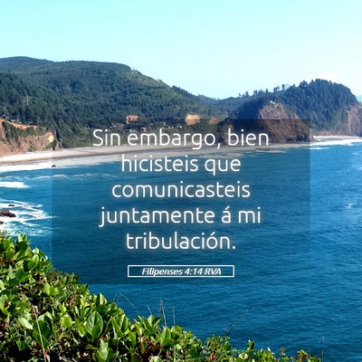 Picture 05 - Filipenses 4:14 RVA - Sin embargo, bien hicisteis que comunicasteis - Bible Verse Picture
