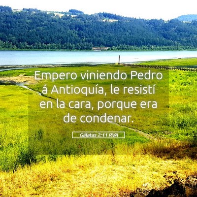 Picture 05 - Gálatas 2:11 RVA - Empero viniendo Pedro á Antioquía, le resistí - Bible Verse Picture