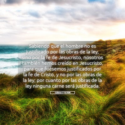 Picture 05 - Gálatas 2:16 RVA - Sabiendo que el hombre no es justificado por las - Bible Verse Picture
