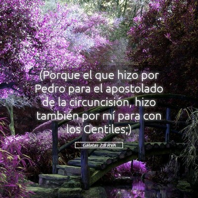 Picture 05 - Gálatas 2:8 RVA - (Porque el que hizo por Pedro para el apostolado - Bible Verse Picture