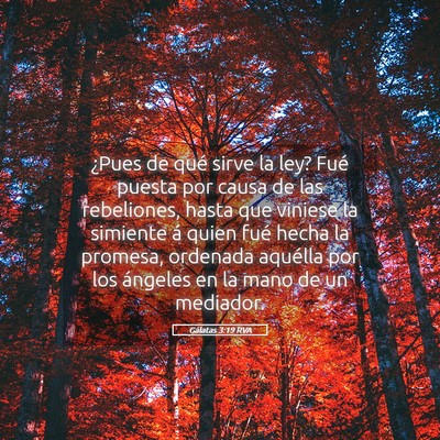 Picture 05 - Gálatas 3:19 RVA - ¿Pues de qué sirve la ley? Fué puesta por - Bible Verse Picture