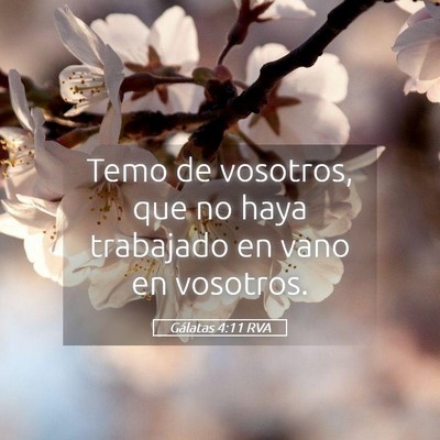 Picture 05 - Gálatas 4:11 RVA - Temo de vosotros, que no haya trabajado en vano - Bible Verse Picture