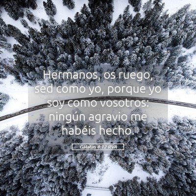 Picture 05 - Gálatas 4:12 RVA - Hermanos, os ruego, sed como yo, porque yo soy - Bible Verse Picture