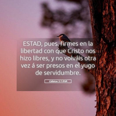 Picture 05 - Gálatas 5:1 RVA - ESTAD, pues, firmes en la libertad con que Cristo - Bible Verse Picture