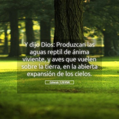 Picture 05 - Génesis 1:20 RVA - Y dijo Dios: Produzcan las aguas reptil de ánima - Bible Verse Picture