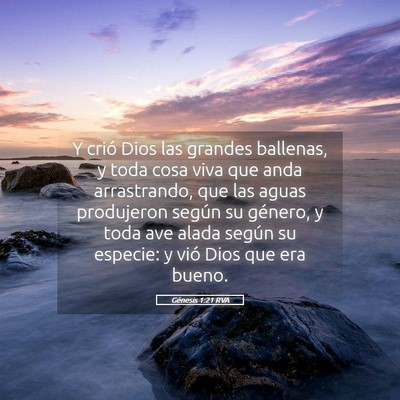 Picture 05 - Génesis 1:21 RVA - Y crió Dios las grandes ballenas, y toda cosa - Bible Verse Picture