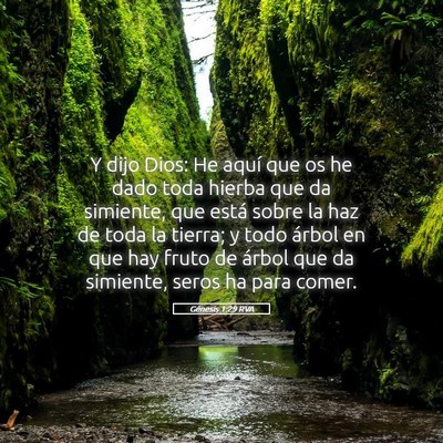 Picture 05 - Génesis 1:29 RVA - Y dijo Dios: He aquí que os he dado toda hierba - Bible Verse Picture