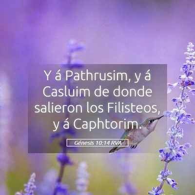 Picture 05 - Génesis 10:14 RVA - Y á Pathrusim, y á Casluim de donde salieron - Bible Verse Picture