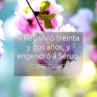 Picture 05 - Génesis 11:20 RVA - Y Reu vivió treinta y dos años, y engendró á - Bible Verse Picture