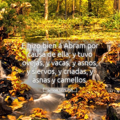 Picture 05 - Génesis 12:16 RVA - E hizo bien á Abram por causa de ella; y tuvo - Bible Verse Picture