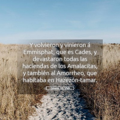 Picture 05 - Génesis 14:7 RVA - Y volvieron y vinieron á Emmisphat, que es - Bible Verse Picture