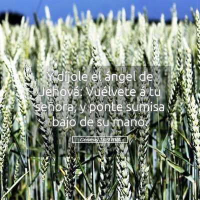 Picture 05 - Génesis 16:9 RVA - Y díjole el ángel de Jehová: Vuélvete á tu - Bible Verse Picture