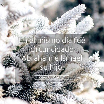 Picture 05 - Génesis 17:26 RVA - En el mismo día fué circuncidado Abraham é - Bible Verse Picture