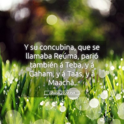 Picture 05 - Génesis 22:24 RVA - Y su concubina, que se llamaba Reúma, parió - Bible Verse Picture