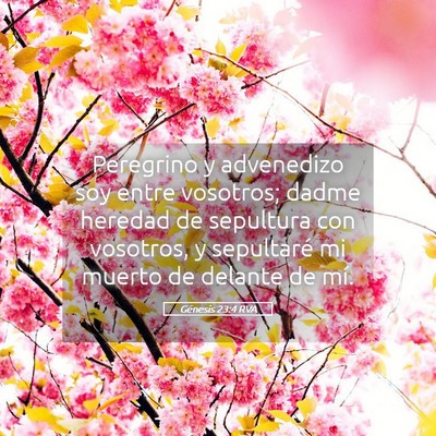 Picture 05 - Génesis 23:4 RVA - Peregrino y advenedizo soy entre vosotros; dadme - Bible Verse Picture