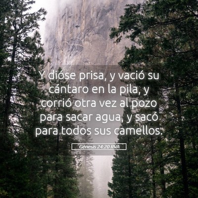 Picture 05 - Génesis 24:20 RVA - Y dióse prisa, y vació su cántaro en la pila, - Bible Verse Picture