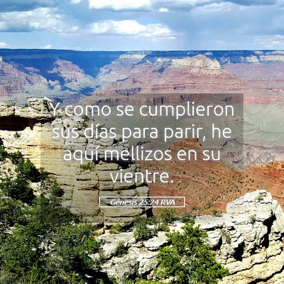Picture 05 - Génesis 25:24 RVA - Y como se cumplieron sus días para parir, he - Bible Verse Picture