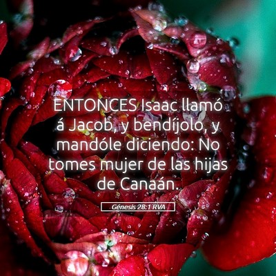 Picture 05 - Génesis 28:1 RVA - ENTONCES Isaac llamó á Jacob, y bendíjolo, y - Bible Verse Picture