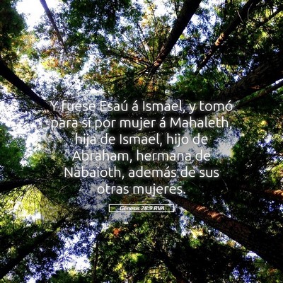 Picture 05 - Génesis 28:9 RVA - Y fuése Esaú á Ismael, y tomó para sí por - Bible Verse Picture