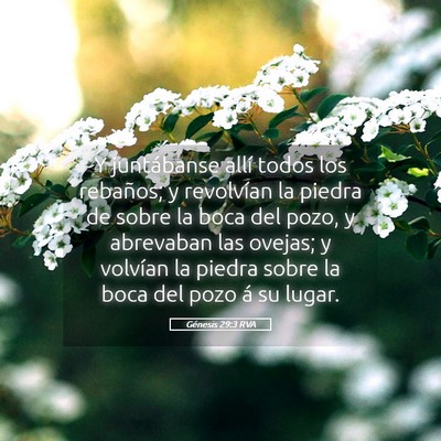 Picture 05 - Génesis 29:3 RVA - Y juntábanse allí todos los rebaños; y - Bible Verse Picture