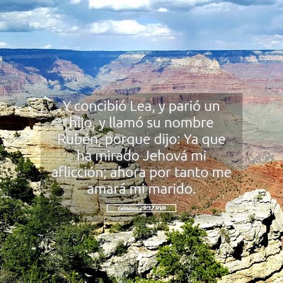 Picture 05 - Génesis 29:32 RVA - Y concibió Lea, y parió un hijo, y llamó su - Bible Verse Picture