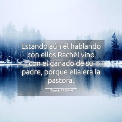 Picture 05 - Génesis 29:9 RVA - Estando aún él hablando con ellos Rachêl vino - Bible Verse Picture