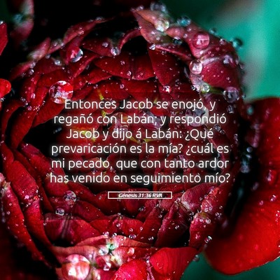 Picture 05 - Génesis 31:36 RVA - Entonces Jacob se enojó, y regañó con Labán; - Bible Verse Picture