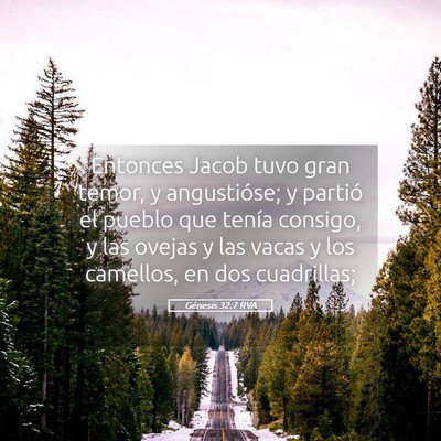 Picture 05 - Génesis 32:7 RVA - Entonces Jacob tuvo gran temor, y angustióse; y - Bible Verse Picture