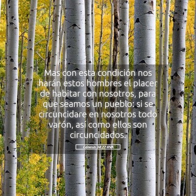 Picture 05 - Génesis 34:22 RVA - Mas con esta condición nos harán estos hombres - Bible Verse Picture