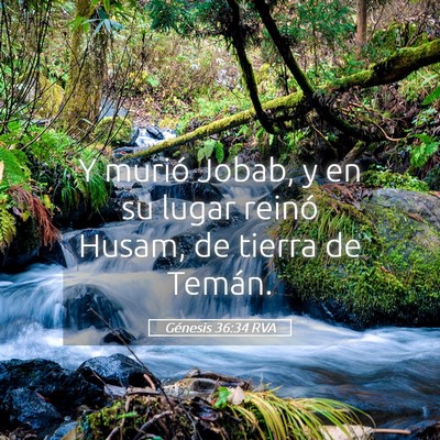 Picture 05 - Génesis 36:34 RVA - Y murió Jobab, y en su lugar reinó Husam, de - Bible Verse Picture