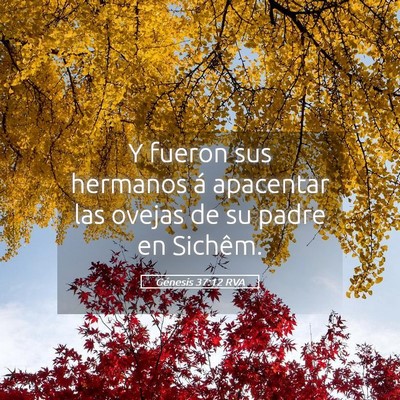 Picture 05 - Génesis 37:12 RVA - Y fueron sus hermanos á apacentar las ovejas de - Bible Verse Picture