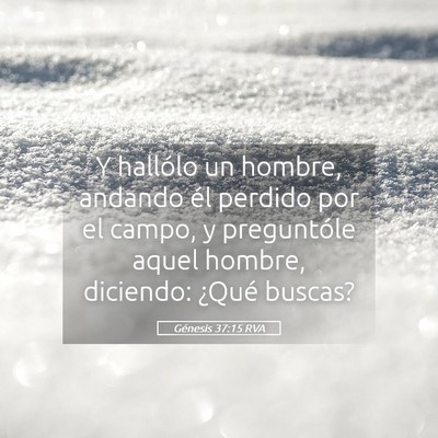 Picture 05 - Génesis 37:15 RVA - Y hallólo un hombre, andando él perdido por el - Bible Verse Picture