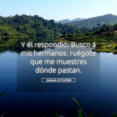 Picture 05 - Génesis 37:16 RVA - Y él respondió: Busco á mis hermanos: ruégote - Bible Verse Picture