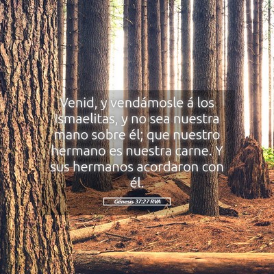 Picture 05 - Génesis 37:27 RVA - Venid, y vendámosle á los Ismaelitas, y no sea - Bible Verse Picture