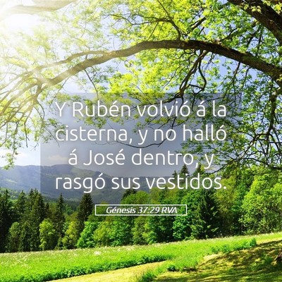 Picture 05 - Génesis 37:29 RVA - Y Rubén volvió á la cisterna, y no halló á - Bible Verse Picture
