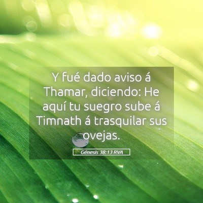 Picture 05 - Génesis 38:13 RVA - Y fué dado aviso á Thamar, diciendo: He aquí - Bible Verse Picture