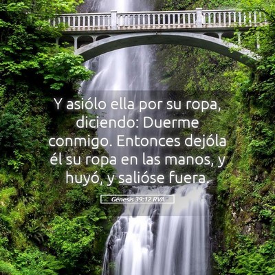 Picture 05 - Génesis 39:12 RVA - Y asiólo ella por su ropa, diciendo: Duerme - Bible Verse Picture