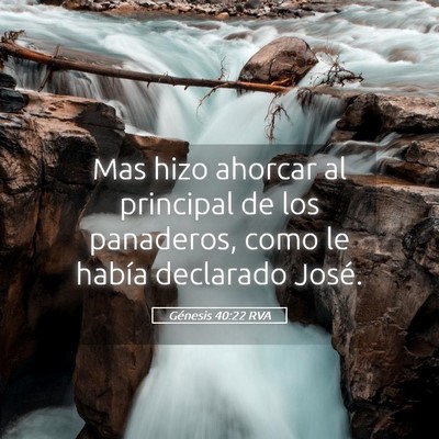 Picture 05 - Génesis 40:22 RVA - Mas hizo ahorcar al principal de los panaderos, - Bible Verse Picture