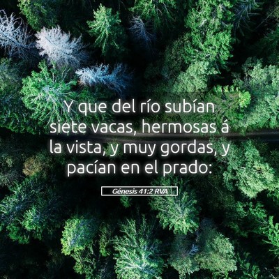 Picture 05 - Génesis 41:2 RVA - Y que del río subían siete vacas, hermosas á - Bible Verse Picture