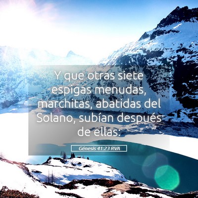 Picture 05 - Génesis 41:23 RVA - Y que otras siete espigas menudas, marchitas, - Bible Verse Picture