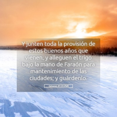 Picture 05 - Génesis 41:35 RVA - Y junten toda la provisión de estos buenos años - Bible Verse Picture